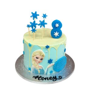 Frozen Drip Cake