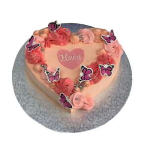 Butterfly blush cake