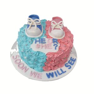 Gender Reveal cakes hounslow