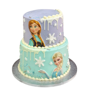Frozen Drip Cake