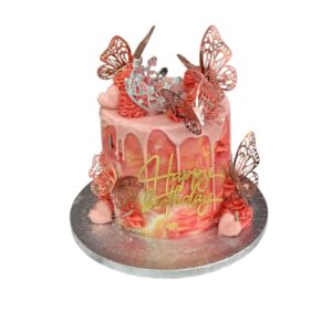 Princess Butterfly Cake