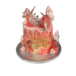 Princess Butterfly Cake