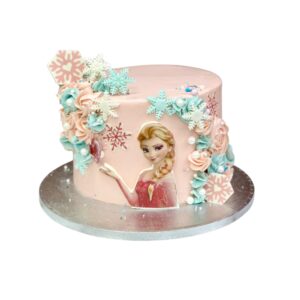 Elsa Pink Frost Cake