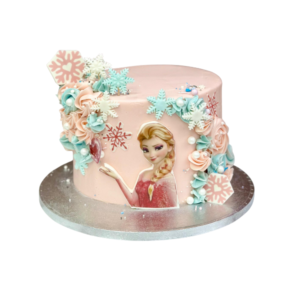 Elsa Pink Frost Cake