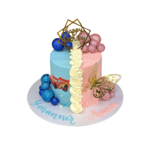 Twins’ Birthday Cake