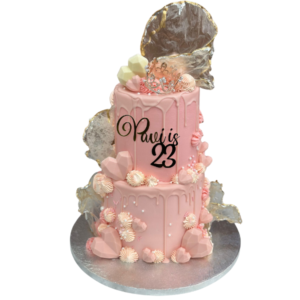 pastel elegance cake